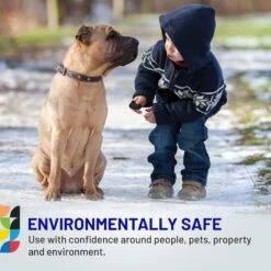 Pawz Waterproof Dog Boots, Black + 2 Items -PetSafe Shop Sale 728110 PT3. AC SS1800 V1669906508