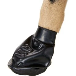 Pawz Waterproof Dog Boots, Black + 2 Items -PetSafe Shop Sale 728110 PT8. AC SS1800 V1669906950