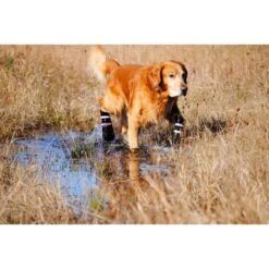 Bark Brite All Weather Reflective Neoprene Dog Boots, 4 Count + 2 Items -PetSafe Shop Sale 728150 PT8. AC SS1800 V1669906960