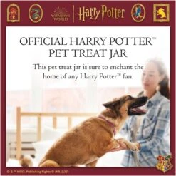 Fetch For Pets Harry Potter Hedwig Dog Treat Jar -PetSafe Shop Sale 738710 PT2. AC SS1800 V1678907363