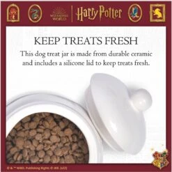 Fetch For Pets Harry Potter Hedwig Dog Treat Jar -PetSafe Shop Sale 738710 PT4. AC SS1800 V1678907363