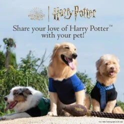 Fetch For Pets Harry Potter Hedwig Dog Treat Jar -PetSafe Shop Sale 738710 PT6. AC SS1800 V1678906022