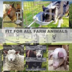 Win World Gazebo Automatic Dog & Cat Feeder, Grey, Large -PetSafe Shop Sale 740734 PT5. AC SS1800 V1671222524