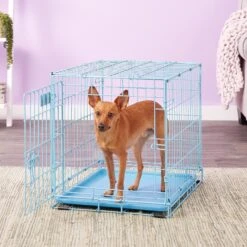 MidWest ICrate Single Door Collapsible Wire Dog Crate, Blue