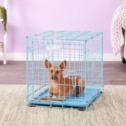 MidWest ICrate Single Door Collapsible Wire Dog Crate, Blue -PetSafe Shop Sale 74292 PT5. AC SS1800 V1562173096