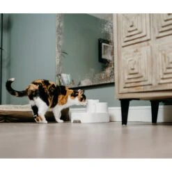 Cat Mate Plastic Dog & Cat Fountain, 67.6-oz -PetSafe Shop Sale 75264 PT5. AC SS1800 V1663712577