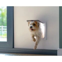 Cat Mate Large Cat/Small Dog 4-Way Self Lining Door -PetSafe Shop Sale 75283 PT5. AC SS1800 V1492207113