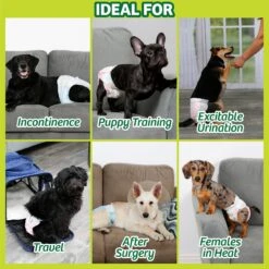 Hartz Disposable Male & Female Dog Diapers & Hartz Oinkies Chickentastic Tender With Chicken Natural Chew Dog Treats -PetSafe Shop Sale 754238 PT4. AC SS1800 V1673360791