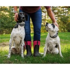 SpotOn Fence Verizon GPS Dog Fence 16 SpotOn Fence Verizon GPS Dog Fence -PetSafe Shop Sale 757574 PT7. AC SS1800 V1674769811