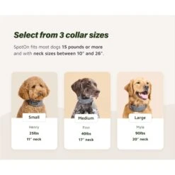 SpotOn Fence AT&T GPS Dog Fence -PetSafe Shop Sale 757606 PT4. AC SS1800 V1674769816