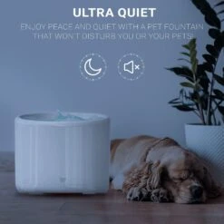 INSTACHEW Purrflow Smart Dog & Cat Water Fountain, White, 2-L -PetSafe Shop Sale 757694 PT3. AC SS1800 V1691762367