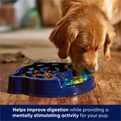 Frisco Interactive Dog Slow Feeder Bowl 8 Frisco Interactive Dog Slow Feeder Bowl -PetSafe Shop Sale 761238 PT2. AC SS1800 V1696254583