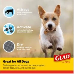 Glad For Pets Carbon Activated Training Dog Potty Pads, Small -PetSafe Shop Sale 762790 PT5. AC SS1800 V1678311874