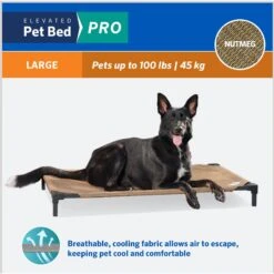 Coolaroo Pro Elevated Dog & Cat Bed -PetSafe Shop Sale 762982 PT3. AC SS1800 V1674772493