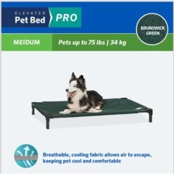 Coolaroo Pro Replacement Cover Elevated Dog & Cat Bed -PetSafe Shop Sale 763022 PT3. AC SS1800 V1674768928
