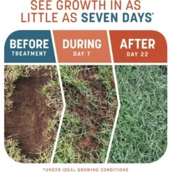 Pennington Smart Patch Bermudagrass Mix Dog Lawn-Treatment & Grass Saver -PetSafe Shop Sale 763358 PT2. AC SS1800 V1674757888