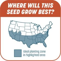 Pennington Smart Patch Bermudagrass Mix Dog Lawn-Treatment & Grass Saver -PetSafe Shop Sale 763358 PT6. AC SS1800 V1674769353