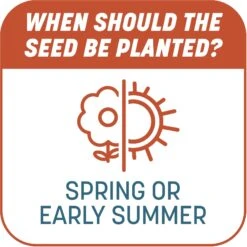 Pennington Smart Patch Bermudagrass Mix Dog Lawn-Treatment & Grass Saver -PetSafe Shop Sale 763358 PT7. AC SS1800 V1674757941