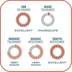Pennington Smart Patch Bermudagrass Mix Dog Lawn-Treatment & Grass Saver -PetSafe Shop Sale 763358 PT8. AC SS1800 V1674769356