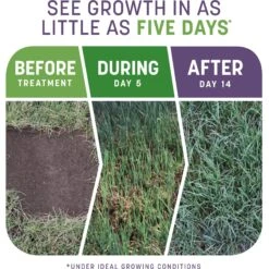 Pennington Smart Patch Dense Shade Mix Dog Lawn-Treatment & Grass Saver -PetSafe Shop Sale 763382 PT2. AC SS1800 V1674769875