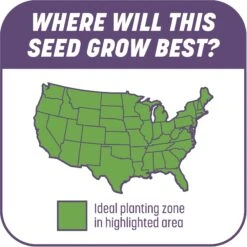 Pennington Smart Patch Dense Shade Mix Dog Lawn-Treatment & Grass Saver -PetSafe Shop Sale 763382 PT6. AC SS1800 V1674745042