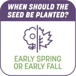 Pennington Smart Patch Dense Shade Mix Dog Lawn-Treatment & Grass Saver -PetSafe Shop Sale 763382 PT7. AC SS1800 V1674769409