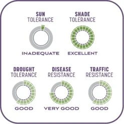 Pennington Smart Patch Dense Shade Mix Dog Lawn-Treatment & Grass Saver -PetSafe Shop Sale 763382 PT8. AC SS1800 V1674745040