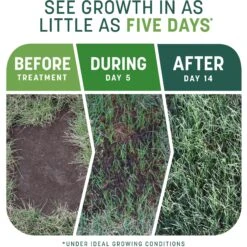 Pennington Smart Patch Sun & Shade Mix Dog Lawn-Treatment & Grass Saver -PetSafe Shop Sale 763398 PT2. AC SS1800 V1674745147