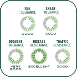 Pennington Smart Patch Sun & Shade Mix Dog Lawn-Treatment & Grass Saver -PetSafe Shop Sale 763398 PT8. AC SS1800 V1674772905