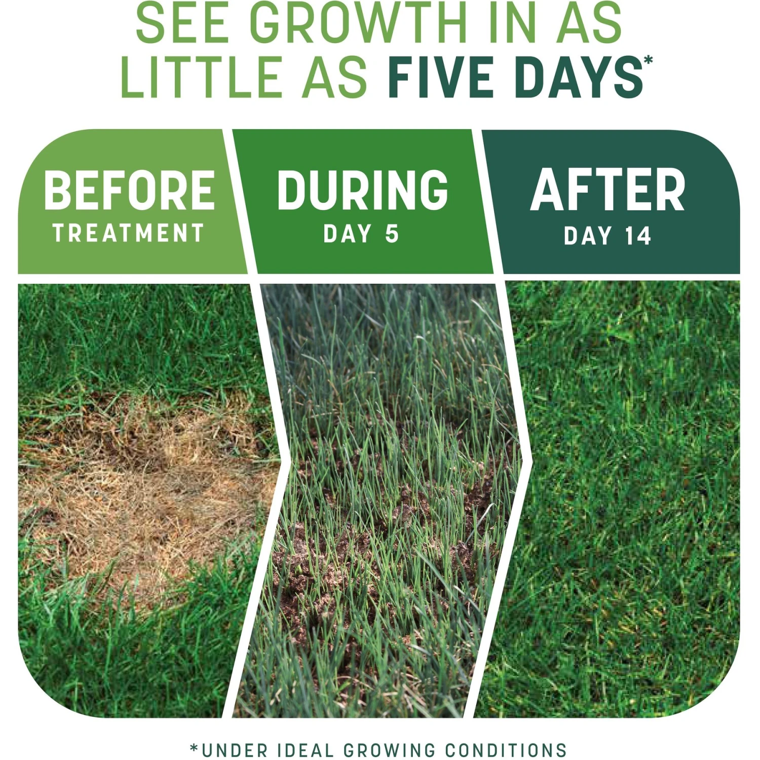 Pennington Smart Patch Tall Fescue Mix Dog Lawn-Treatment & Grass Saver 3 Pennington Smart Patch Tall Fescue Mix Dog Lawn-Treatment & Grass Saver - Image 3