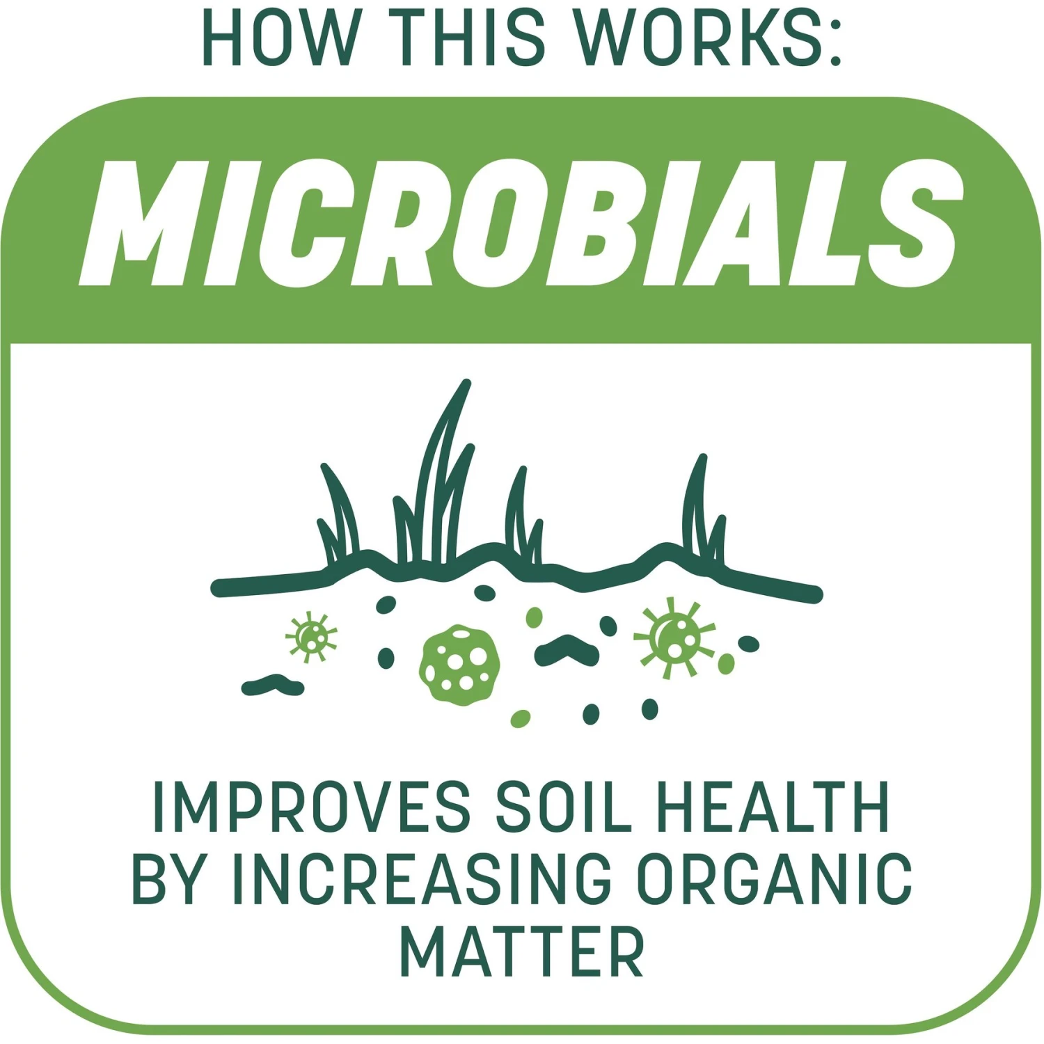 Pennington Smart Patch Tall Fescue Mix Dog Lawn-Treatment & Grass Saver 4 Pennington Smart Patch Tall Fescue Mix Dog Lawn-Treatment & Grass Saver - Image 4