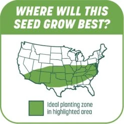 Pennington Smart Patch Tall Fescue Mix Dog Lawn-Treatment & Grass Saver 15 Pennington Smart Patch Tall Fescue Mix Dog Lawn-Treatment & Grass Saver -PetSafe Shop Sale 763422 PT6. AC SS1800 V1674745041