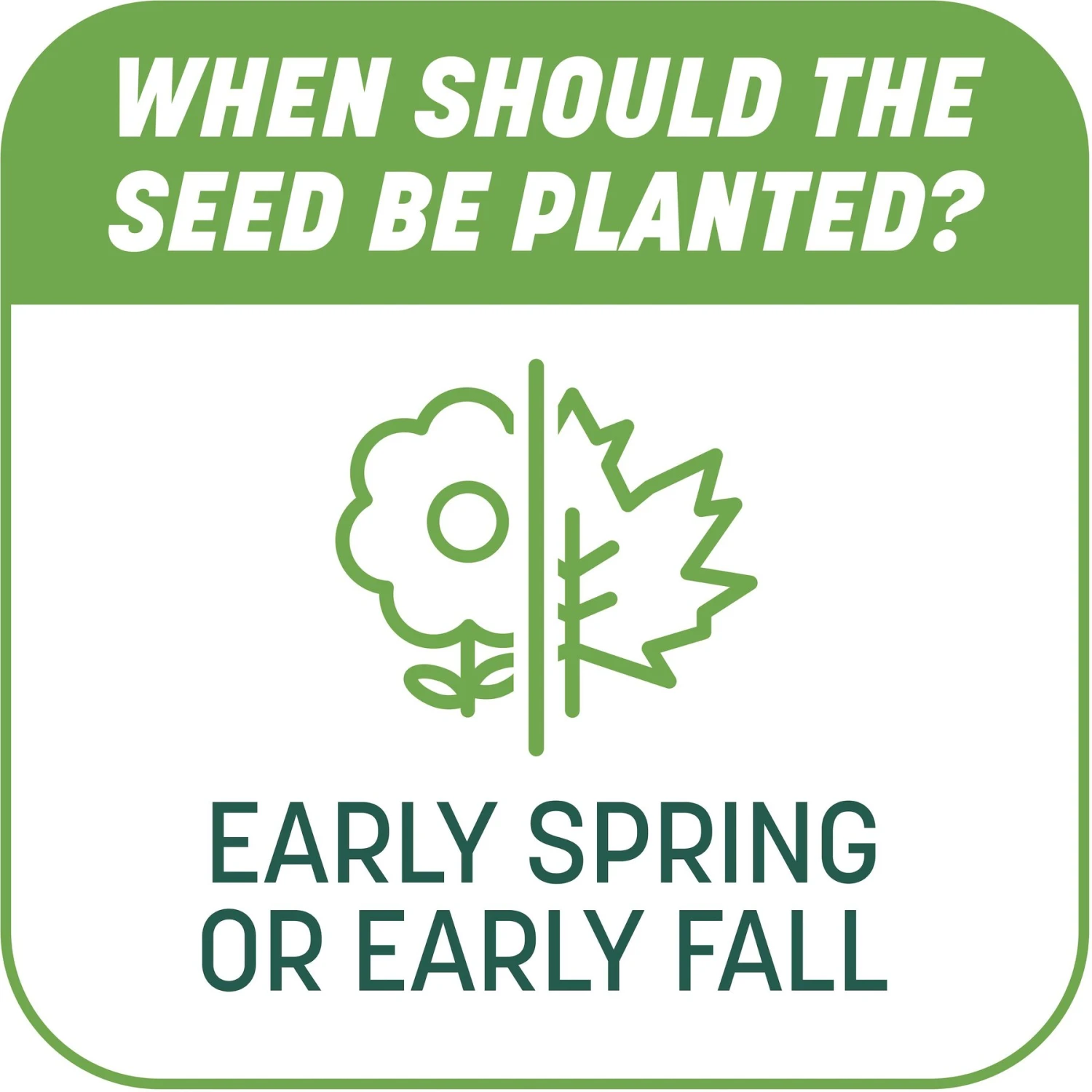 Pennington Smart Patch Tall Fescue Mix Dog Lawn-Treatment & Grass Saver 8 Pennington Smart Patch Tall Fescue Mix Dog Lawn-Treatment & Grass Saver - Image 8