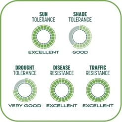 Pennington Smart Patch Tall Fescue Mix Dog Lawn-Treatment & Grass Saver 17 Pennington Smart Patch Tall Fescue Mix Dog Lawn-Treatment & Grass Saver -PetSafe Shop Sale 763422 PT8. AC SS1800 V1674745099