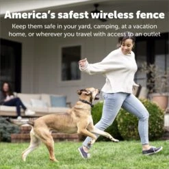 PetSafe Stay+Play Wireless Fence Receiver Collar -PetSafe Shop Sale 77164 PT4. AC SS1800 V1685727056