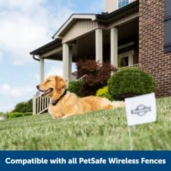 PetSafe Stay+Play Wireless Fence Receiver Collar -PetSafe Shop Sale 77164 PT6. AC SS1800 V1657661026