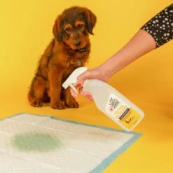 Skout's Honor Dog Pee Pad Refresher Spray, 28-oz Bottle & Pet Parents Pawtect Pads Washable Dog & Cat Pee Pads 13 Skout's Honor Dog Pee Pad Refresher Spray, 28-oz Bottle & Pet Parents Pawtect Pads Washable Dog & Cat Pee Pads -PetSafe Shop Sale 772950 PT4. AC SS1800 V1676751115