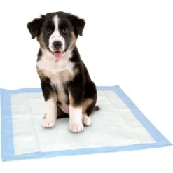 Dr. Pol 22x22-in Dog Training Pad, 100 Count -PetSafe Shop Sale 773726 PT6. AC SS1800 V1676913946
