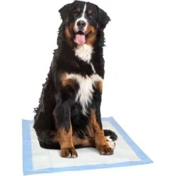 Dr. Pol 28x30-in Fresh Scent Dog Training Pad 7 Dr. Pol 28x30-in Fresh Scent Dog Training Pad -PetSafe Shop Sale 773750 PT3. AC SS1800 V1676913833