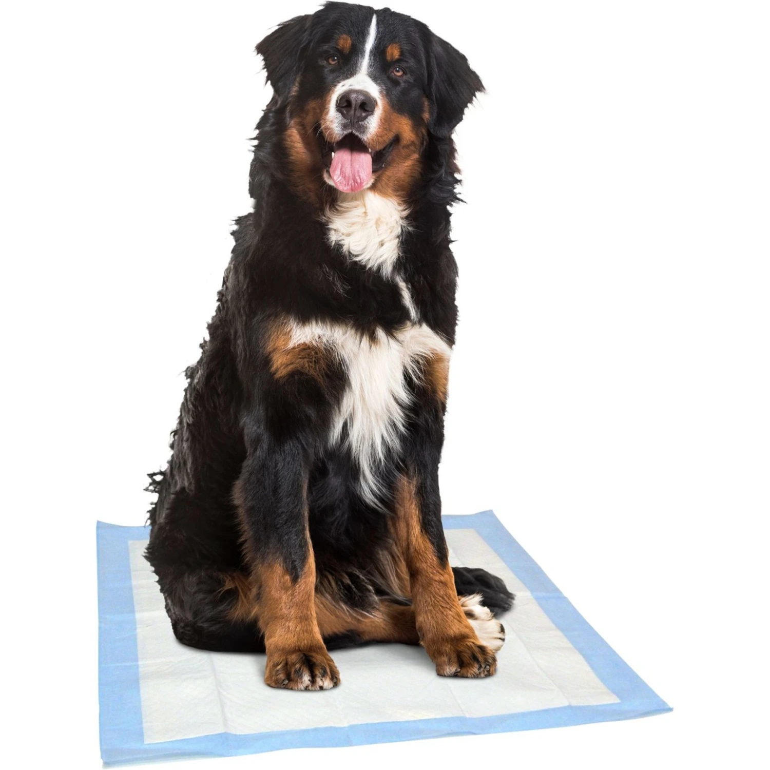 Dr. Pol 28x30-in Fresh Scent Dog Training Pad 4 Dr. Pol 28x30-in Fresh Scent Dog Training Pad - Image 4