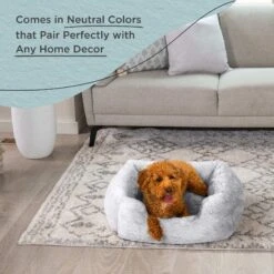 Best Friends By Sheri Soothe & Snooze Lounge Lux Memory Foam Rectangular Orthopedic Bolster Dog Bed -PetSafe Shop Sale 774134 PT5. AC SS1800 V1678738458