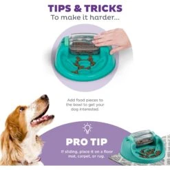 Nina Ottosson By Outward Hound Spin N' Eat Dog Food Puzzle Feeder, Green -PetSafe Shop Sale 778214 PT3. AC SS1800 V1694439634