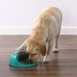 Nina Ottosson By Outward Hound Spin N' Eat Dog Food Puzzle Feeder, Green -PetSafe Shop Sale 778214 PT4. AC SS1800 V1694287366