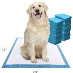 Four Paws Wee-Wee Super Absorbent Dog Pads -PetSafe Shop Sale 77976 PT5. AC SS1800 V1685649666