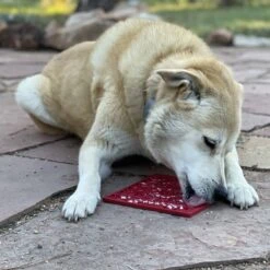 SodaPup Love Hearts E-Mat Dog Lick Mat, Large, Red -PetSafe Shop Sale 781014 PT5. AC SS1800 V1685497355