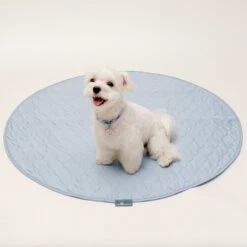Paw Inspired Round Washable Dog Pee Pads, 2 Count -PetSafe Shop Sale 782390 PT4. AC SS1800 V1682514648