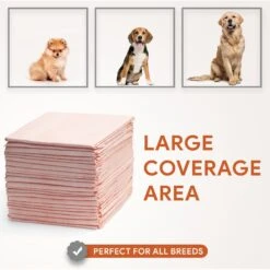 Chew + Heal Max Protect Ultra Absorbent Dog Potty Pads, 30 X 36-in -PetSafe Shop Sale 804806 PT4. AC SS1800 V1679000985