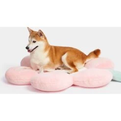 VETRESKA Flora Bolster Cat & Dog Bed 11 VETRESKA Flora Bolster Cat & Dog Bed -PetSafe Shop Sale 805246 PT2. AC SS1800 V1680527845