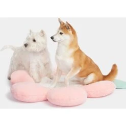 VETRESKA Flora Bolster Cat & Dog Bed 12 VETRESKA Flora Bolster Cat & Dog Bed -PetSafe Shop Sale 805246 PT3. AC SS1800 V1680528946