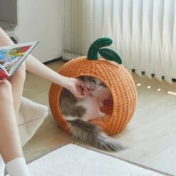 VETRESKA Rattan Cat & Dog Bed -PetSafe Shop Sale 805278 PT7. AC SS1800 V1680527742